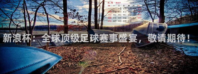 足球世界杯2026:新浪杯:全球顶级足球赛事盛宴,敬请期待!