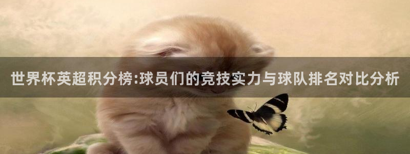 世界杯预选赛欧洲赛区赛程:世界杯英超积分榜:球员们的竞技实力与球队排名对比分析