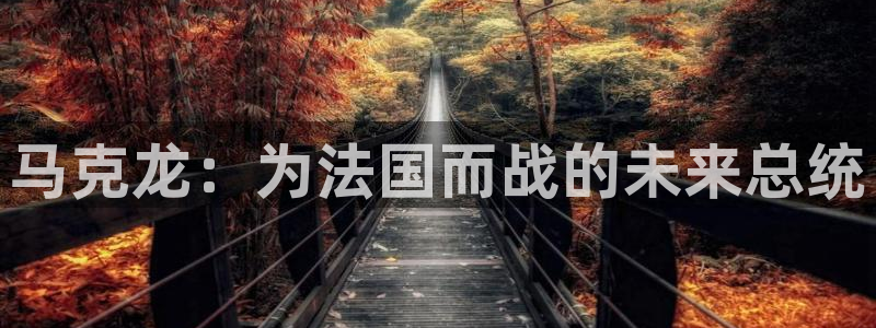 2026年世界杯直播平台:马克龙:为法国而战的未来总统