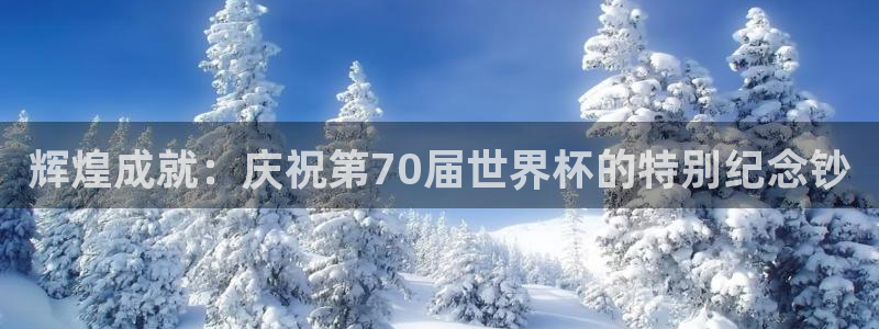2026世界杯官网:辉煌成就:庆祝第70届世界杯的特别纪念钞