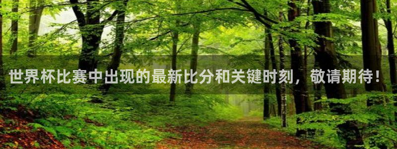 世界杯直播网站:世界杯比赛中出现的最新比分和关键时刻,敬请期待!