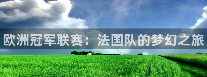 世界杯赛程表:欧洲冠军联赛:法国队的梦幻之旅